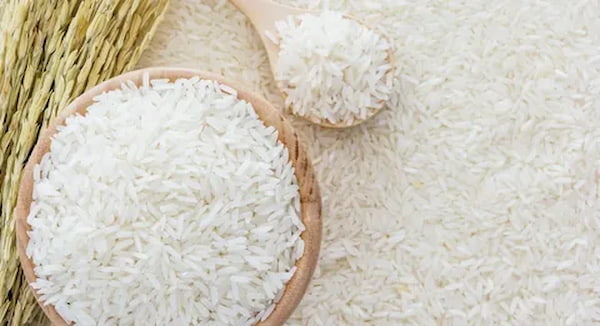 تصویر 4 از خرید و قیمت برنج چمپا اصل + فروش عمده